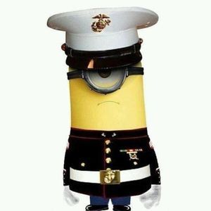 Meet your Posher, Harry